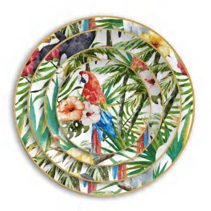 Colorful Parrot cover image