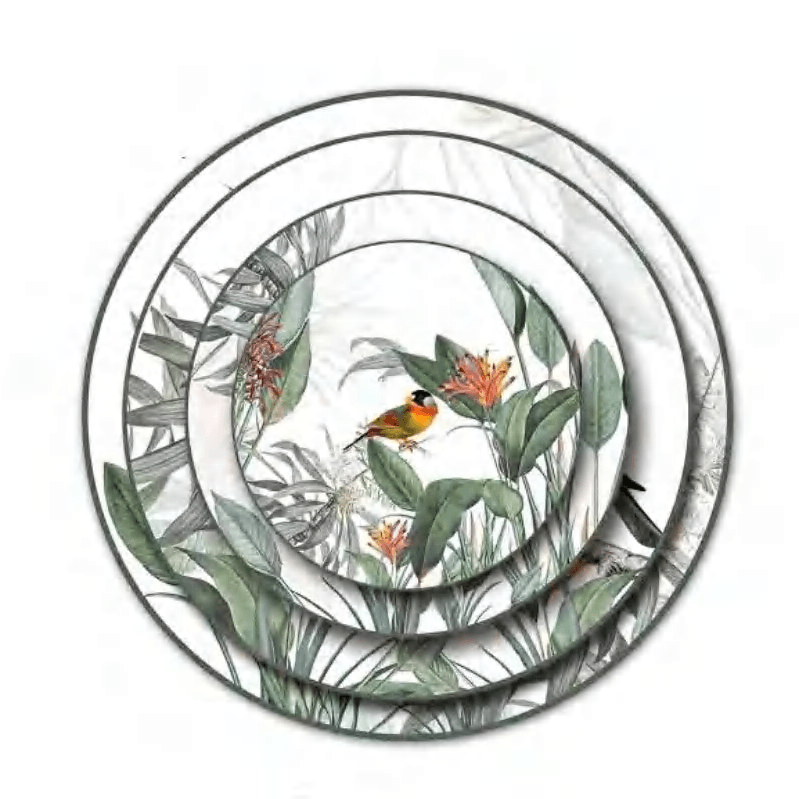 Morning Birds cover image