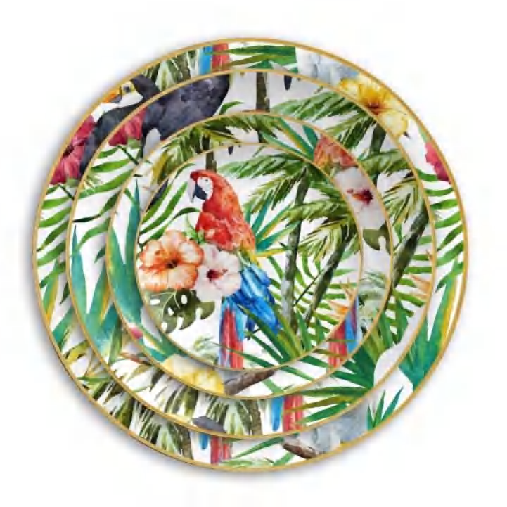 Colorful Parrot cover image