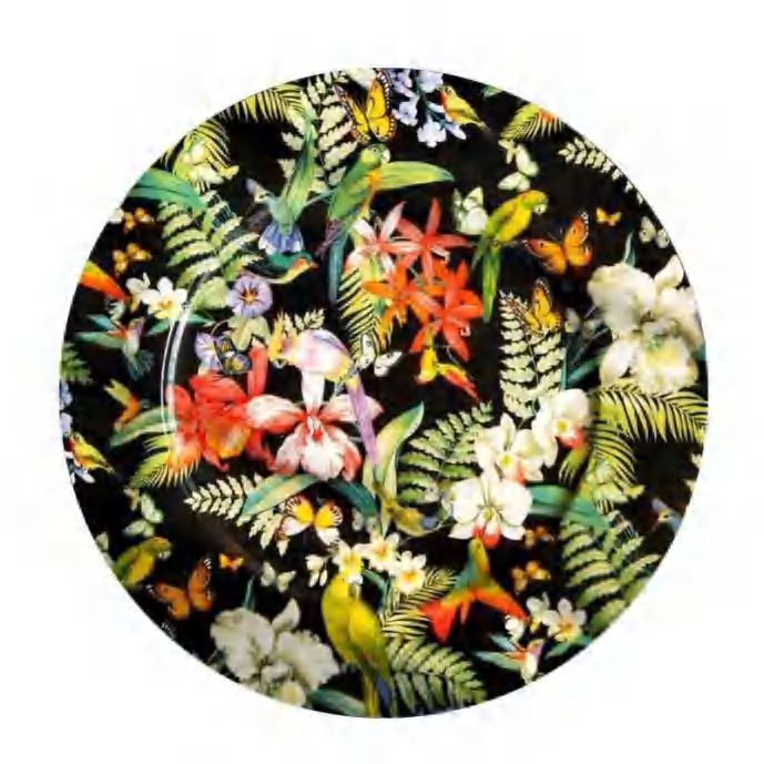Happy Birds cover image